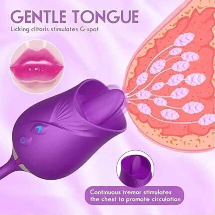 ₀̷₁̷Rose 2 in 1 Licking Up-Down Rechargeable Vibration For Women - 1080x1080 Official